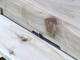 Beekeeper invites buzzy guests at Ardvarney Country Lodge.